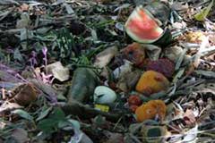 Ensemencement des déchets végétaux